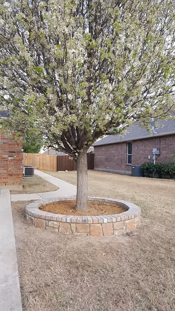 North Texas Outdoor Construction Landscapes 043